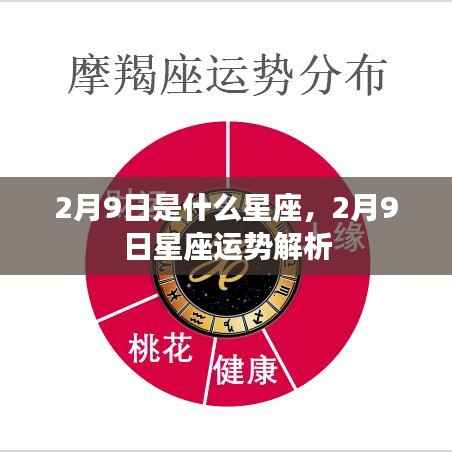 2月9日是什么星座,2月9日星座运势解析