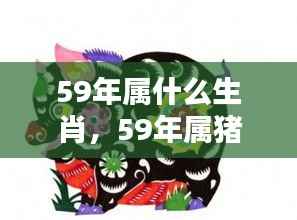 59年属猪人的生肖运势深度解析