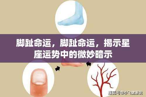脚趾命运与星座运势,微妙暗示揭示星象秘密
