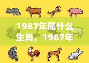 1987年属兔运势解析,生肖兔的运势与特点分析