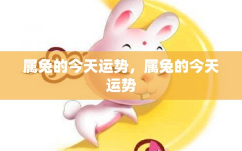 属兔人今日运势运势播报