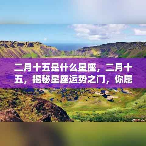 二月十五星座揭秘,运势之门开启,探寻属于你的星座命运