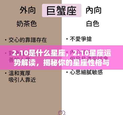 10星座运势解读,揭秘性格与未来走向的星座秘密