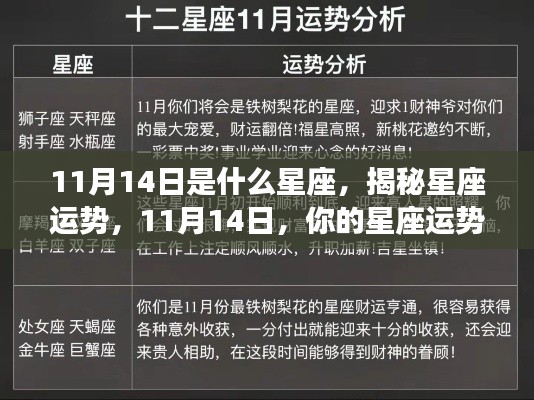 揭秘星座运势,11月14日星座运势详解及你的星座运势如何?