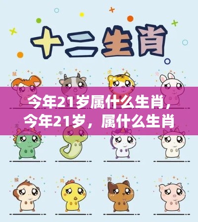 青春揭秘,今年21岁的生肖运势与星座运势大解析