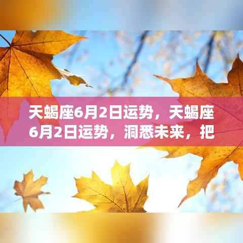 天蝎座6月2日运势详解,洞悉未来,把握机遇的黄金时刻