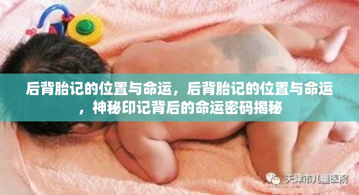 后背胎记的神秘密码,命运印记与命运揭秘之旅