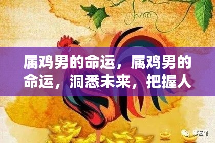 属鸡男的命运解析,洞悉未来,掌握人生轨迹