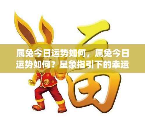 属兔今日运势详解,星象指引的幸运之旅