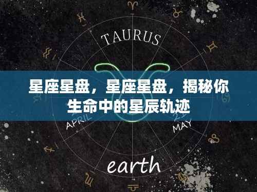 星座星盘揭秘,探寻生命星辰的轨迹
