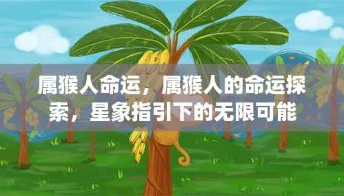 属猴人的命运探索,星象指引下的无限可能与机遇