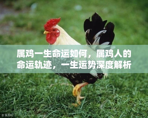 衣不重采 第6页