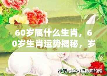 岁月流转下的福泽与智慧,揭秘60岁生肖运势与生肖属性解析