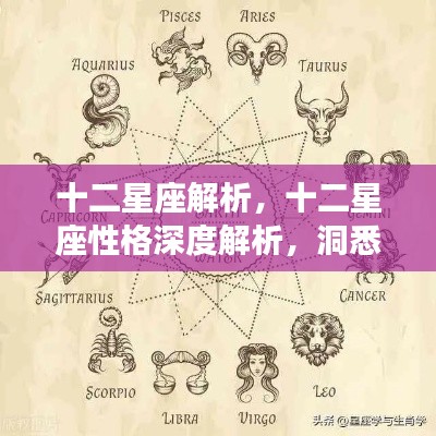 十二星座深度解析,星象背后的个性魅力探寻