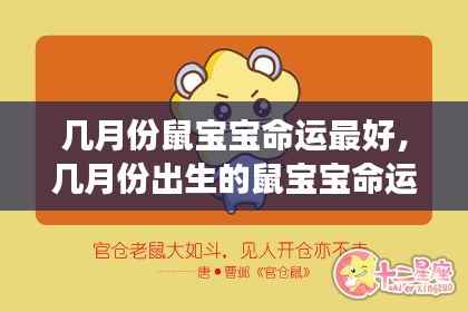 鼠宝宝最佳出生月份揭秘,星象运势助你了解命运走向