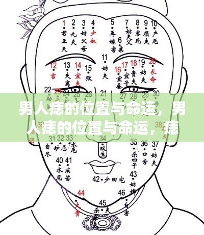 男人痣相揭秘,痣的位置预示命运走向,洞悉男性未来走向的奥秘!