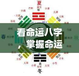 八字解读与星座运势分析,掌握命运之轮的秘密