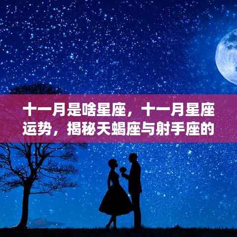 揭秘十一月星座运势,天蝎座与射手座的神秘面纱