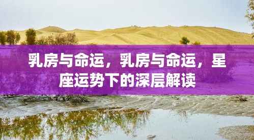 乳房与命运,星座运势下的深层解读与探索