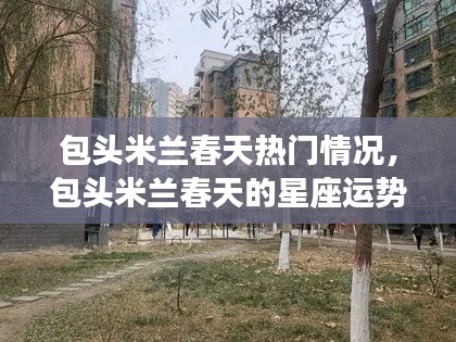 包头米兰春天的热门概况与星座运势解析