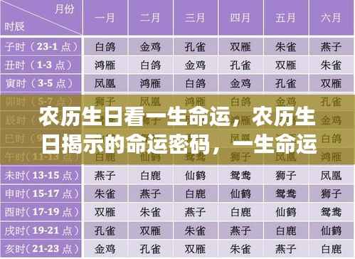 农历生日揭示命运密码,一生命运走势深度解析与解读