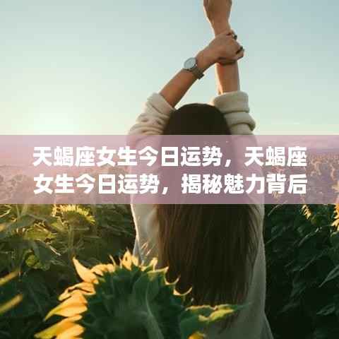 天蝎座女生今日运势揭秘,魅力与运势走向的背后故事