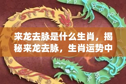 来龙去脉揭秘,生肖运势中的神秘力量