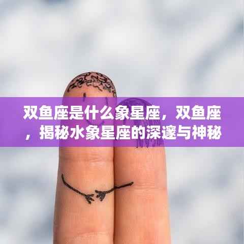 揭秘双鱼座,水象星座的深邃与神秘特性探究