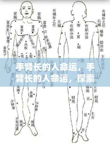 身体特征揭秘,手臂长度与命运走向的奇妙关联探索