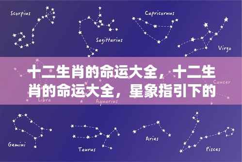 星象指引下的十二生肖命运解析大全