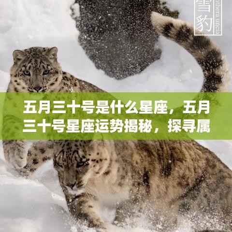 只争朝夕 第6页