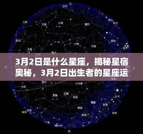 揭秘星宿奥秘,3月2日出生者的星座运势解析及星座特点探索