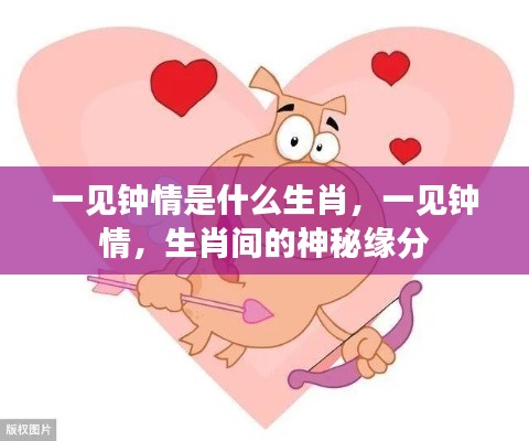 一见钟情,揭秘生肖间的神秘缘分