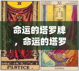 星象指引的未来,命运塔罗牌的揭秘与走向分析