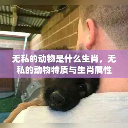 无私动物特质与生肖属性解读,揭秘生肖中的无私动物真面目