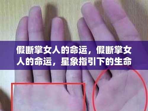 刬旧谋新 第7页