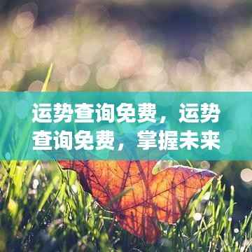 射飞逐走 第6页