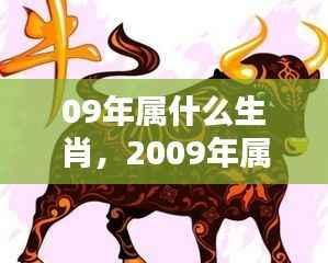 2009年属相运势解析,生肖运势大揭秘