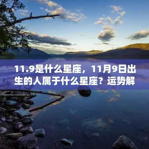 11月9日出生者的星座运势与性格揭秘,星座解析及性格特征探索