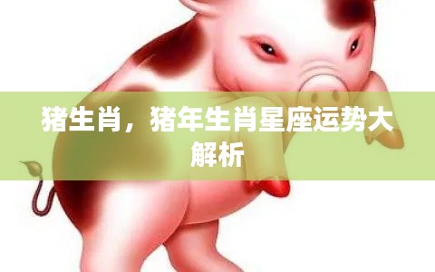 猪生肖与猪年星座运势深度解析