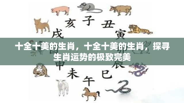 探寻生肖运势极致完美,十全十美的生肖