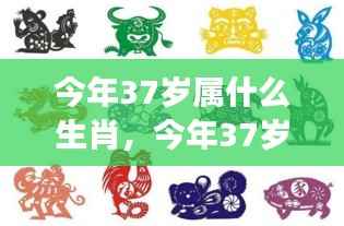 今年37岁属什么生肖?运势展望与个性深度解析