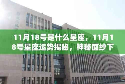 11月18号星座运势揭秘,独特魅力与神秘面纱下的运势展望