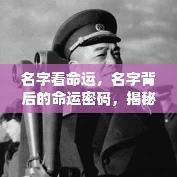 名字与命运的神秘联系,揭秘名字背后的命运密码及其影响人生轨迹的微妙联系