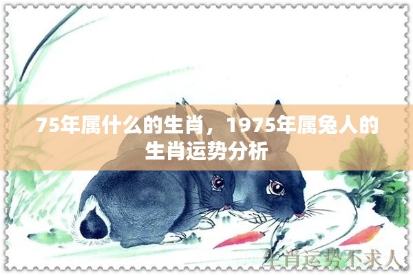 1975年属兔人的生肖运势详解
