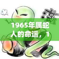1965年属蛇人的命运解析,波折与机遇并存,命运之星指引