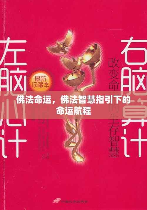 佛法智慧引领命运航程,探寻命运与智慧的交融之道