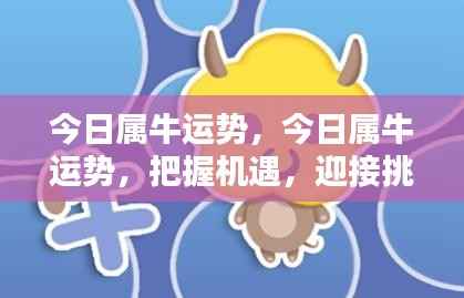 今日属牛运势详解,把握机遇,迎接挑战的挑战