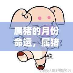 属猪人的月份命运详解,逐月分析属猪的命格特点