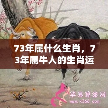 揭秘,属牛人在生肖运势中的秘密,探寻生肖运势大解密!